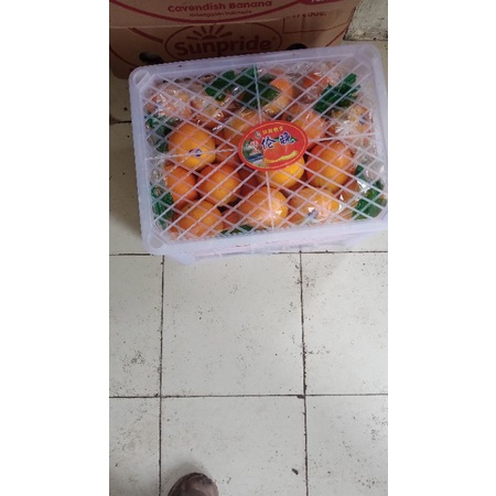 Sunkist Navel China Citra Segar Sehat per Box 13 kg
