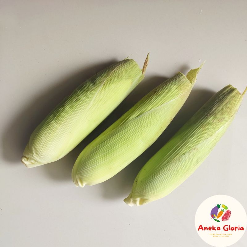 

Jagung Manis Kulit (UTUH NON KUPAS)