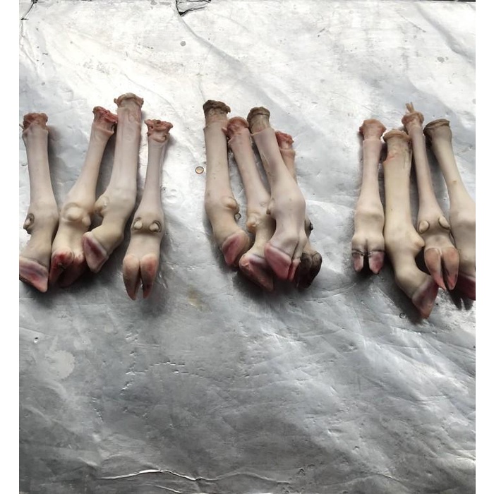 

Meat | Kaki Kambing Domba Fresh