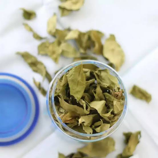 

Daun Kari Kering