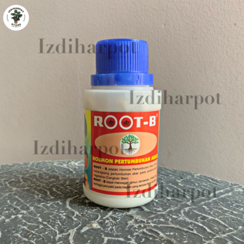 ROOT - B 100 GR pupuk pertumbuhan akar dan mencegah jamur pada tanaman