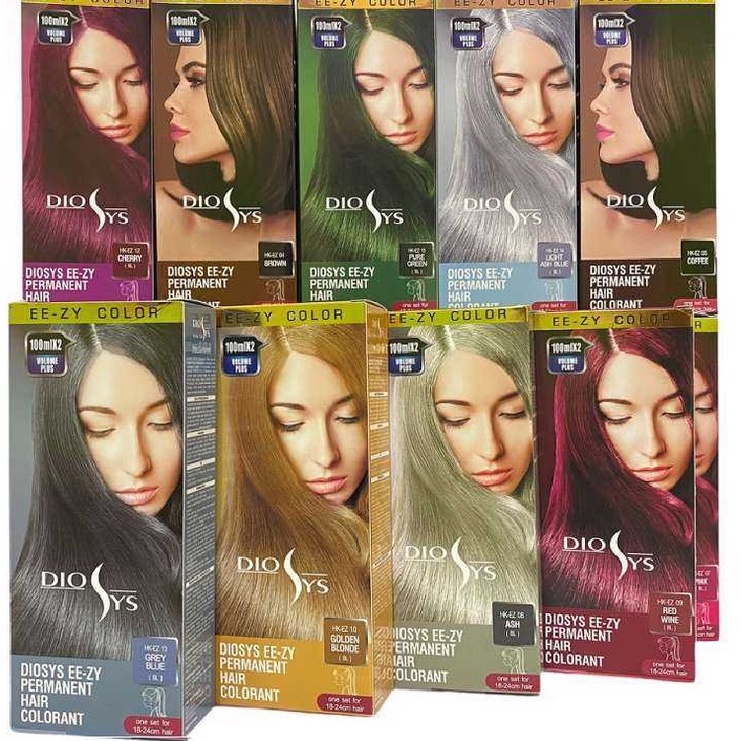 DIOSYS EE-ZY Permanent Hair Colorant Set Cat Pewarna Semir Rambut - 100ml