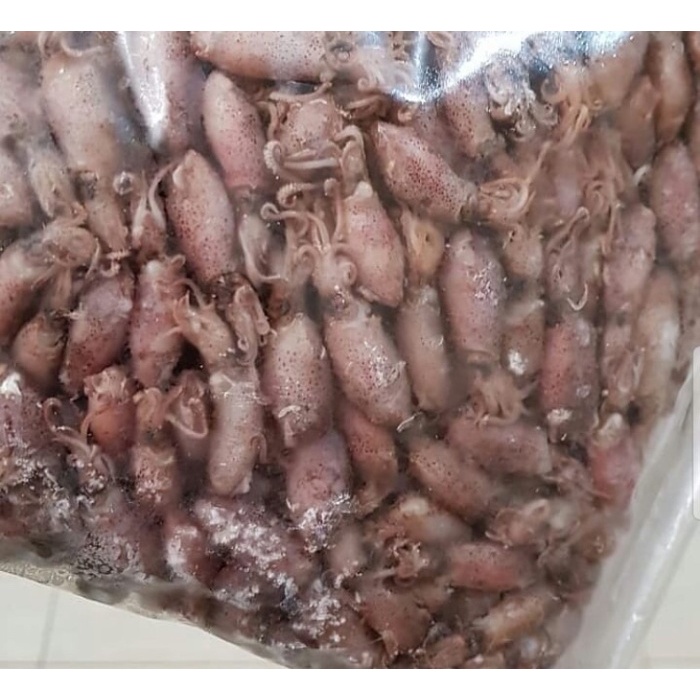 

Baby Cumi Remaja / Cumi Asin / Cumi Telor 500 gr