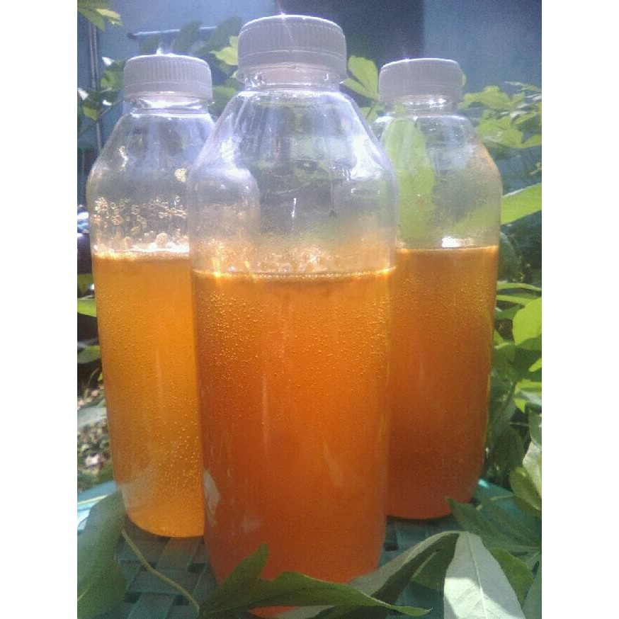 

MADU ASLI / MADU HUTAN ASLI - MMD2327