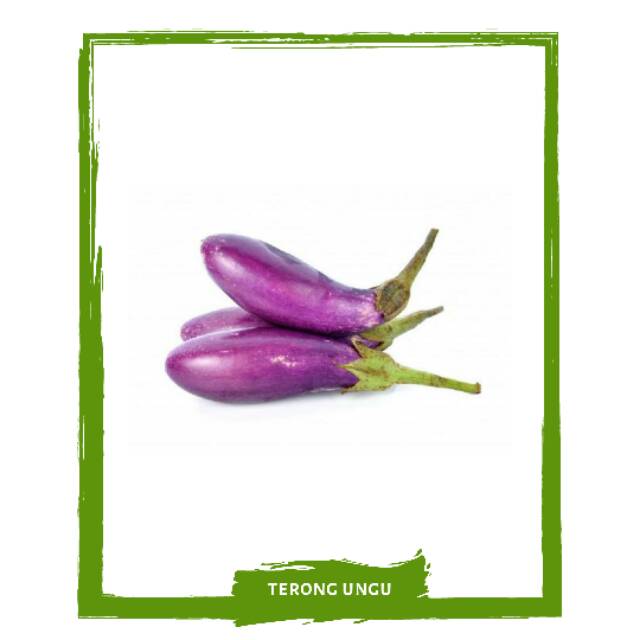 

Terong Ungu / Sayur Sayuran Segar By Mallahrizwa