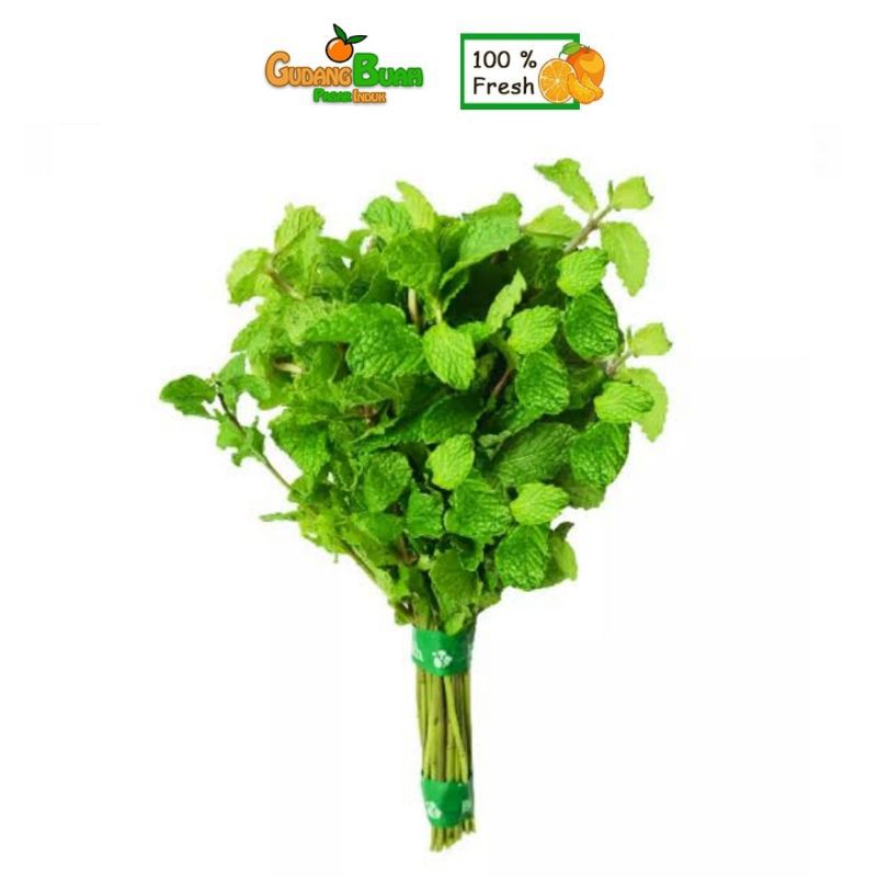 

Daun Mint Segar | Mint Leaf 1kg