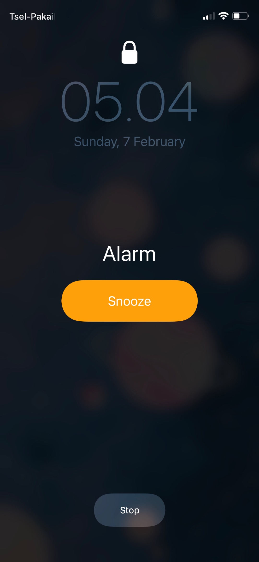 Natural Wood Honey Dipper/ Sendok Madu