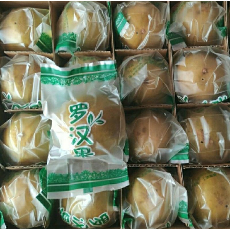 

1 buah herbal golden luo han guo / dian luo han guo 电罗汉果 luohanguo lo han kuo lo han guo