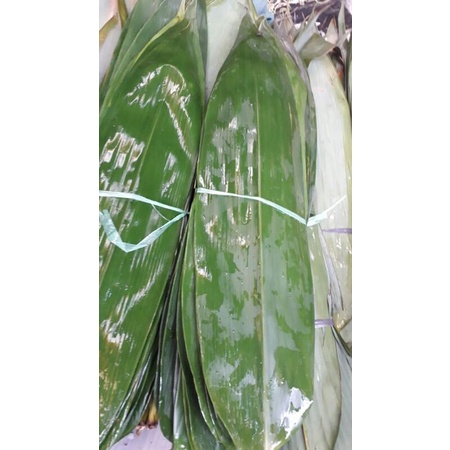 

daun bambu super 1iket