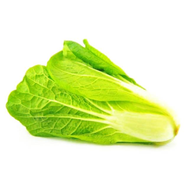 

Romaine Lettuce (500 gram )