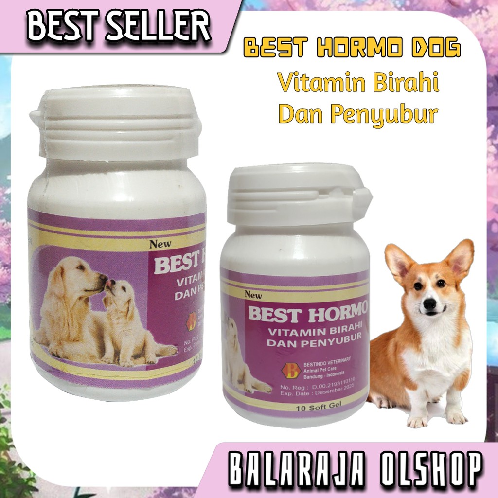 Best Hormo Softgel Vitamin Kawin Anjing Obat Penyubur Birahi