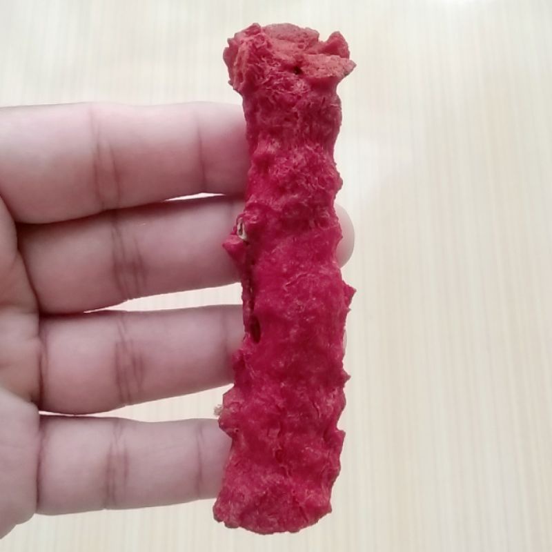 Bahan Rough Batu Natural Red Coral / Marjan Merah Karang Laut Murah 08