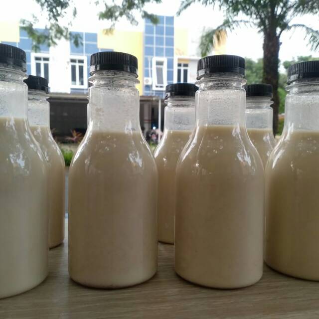 

Usaha Susu Kurma