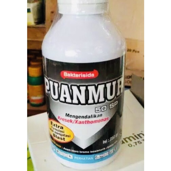 Fungisida dan Bakterisida PUANMUR 50SP | 100 gr