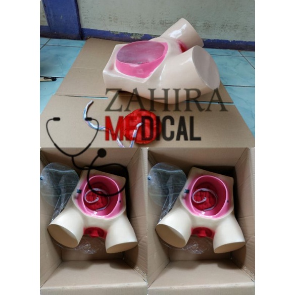 PHANTOM MANIKIN MANUAL PLASENTA MODEL PANGGUL