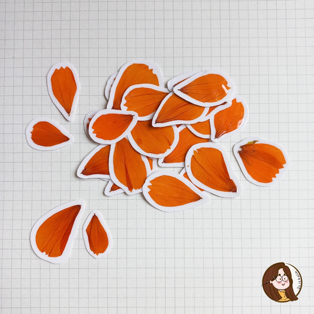 

Orange Cosmos Petals Dried & Pressed Flower Sticker / Stiker Bunga Kosmos Tekan (u/kerajinan tangan, hiasan, journal)