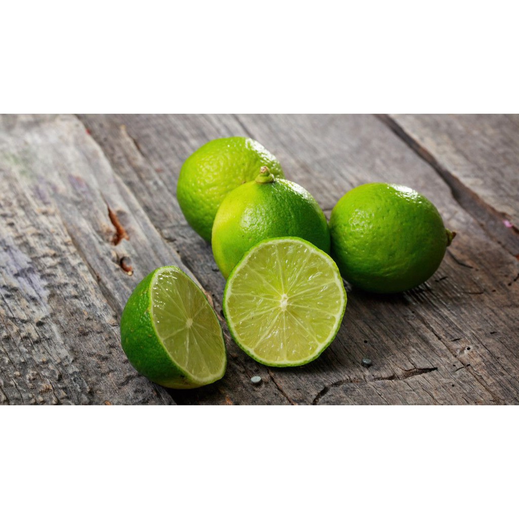 2Al1JL 2 Aligator + 1 Jeruk Lemon + Pupuk + Sekam + Panduan