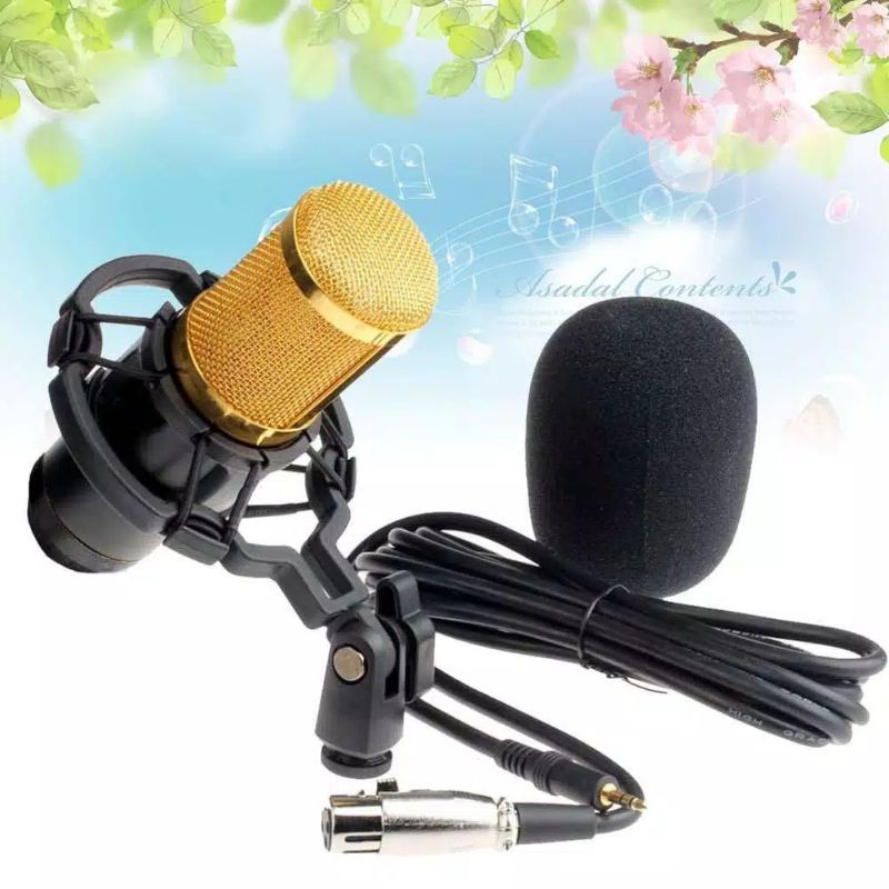 Microfon Condenser BM800 Mic condenser BM800 Mic BM800