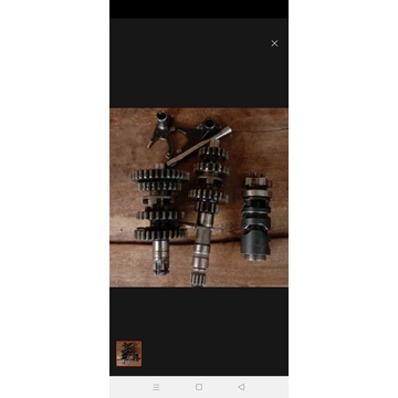 Gigi rasio jupiter z