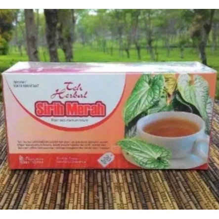 Obat herbal khasiat ampuh teh sirih merah original tazakka alami tanpa efek samping berkualitas ASLI 100% HERBAL