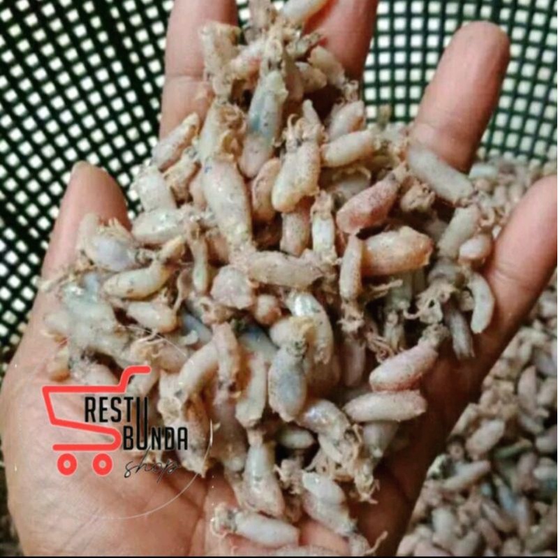

BABY CUMI KERING 250gr