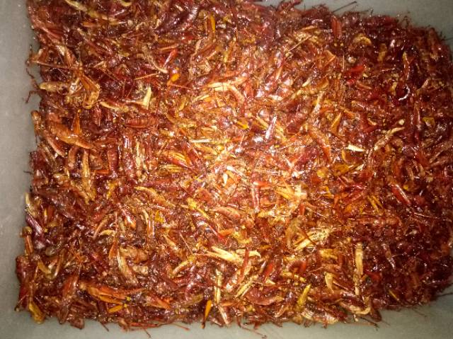 Ikhsan Ferdinan Belalang Goreng Pak Gareng / Walang Goreng Pak Gareng