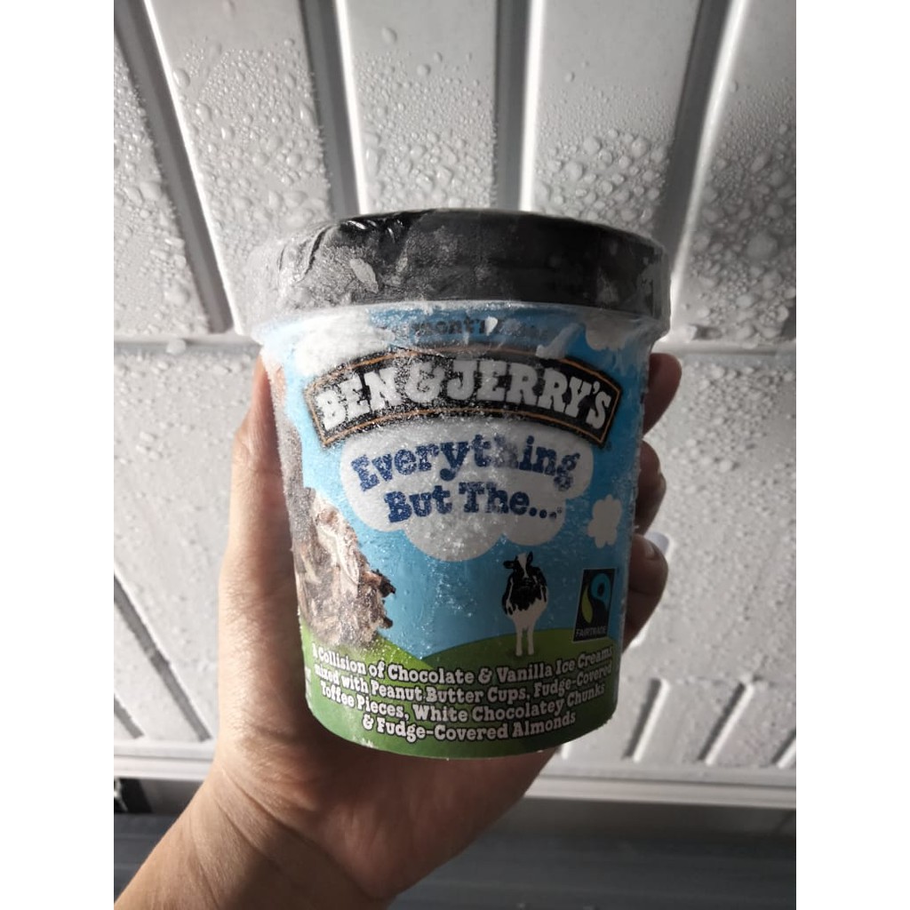 

Ben & Jerry's Everything But The 473 ML