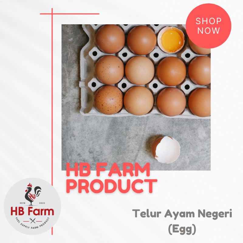 

Telur Ayam Negeri