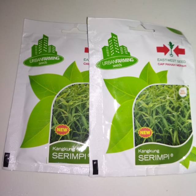 Benih kangkung serimpi