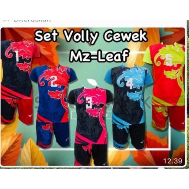 Kostim Voli Mizuno Set