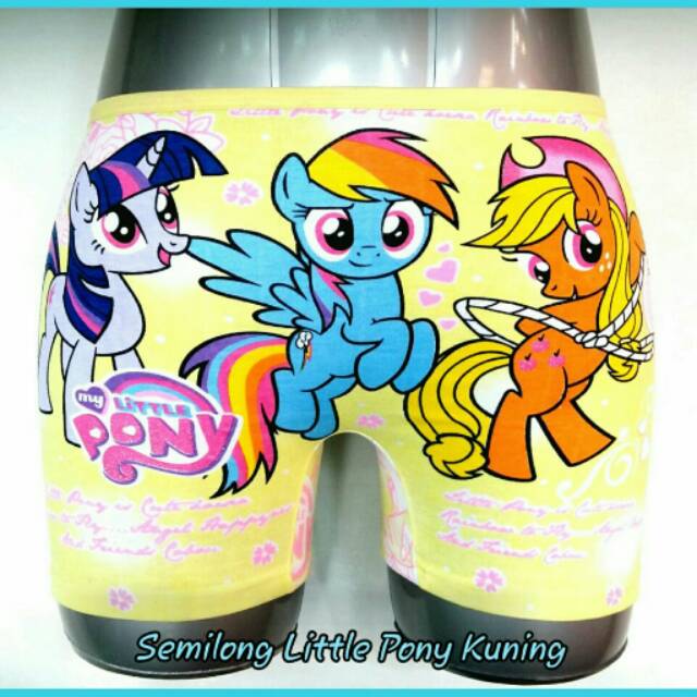 Boxer Jessie & Mike Pony