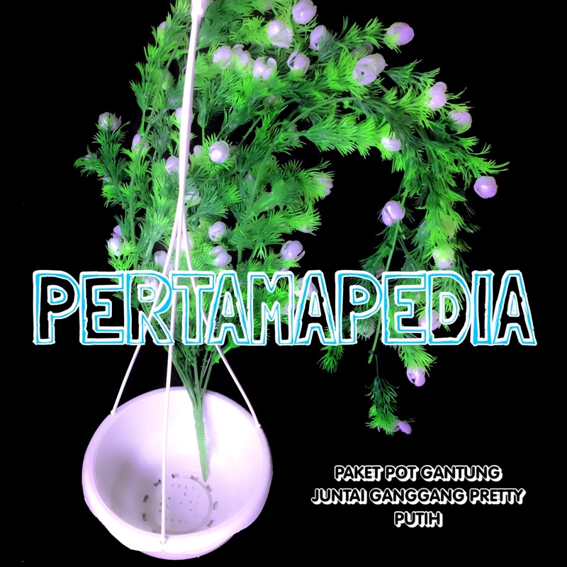 PAKET JUNTAI GANGGANG PRETTY PRITI+POT GANTUNG/Bunga Plastik/Daun Rambat Plastik/Busa Bunga/Dekorasi-POTGANT+GGPRETYPUTIH