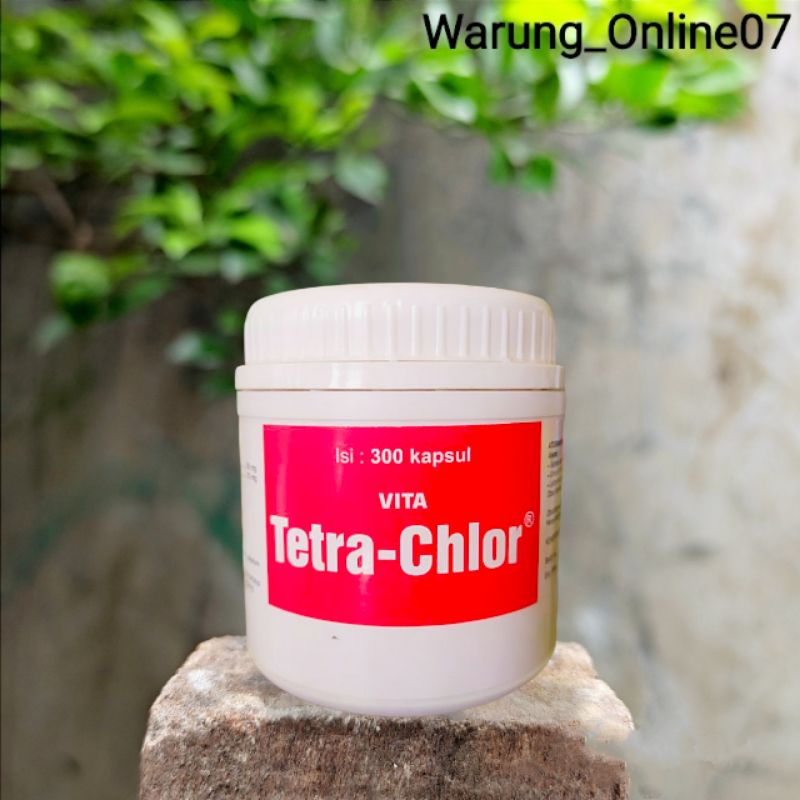 Tetra Chlor isi 300 Kapsul Untuk Ayam Sakit Korisa Kolera Pullorum CDR Snot Pilek Dll