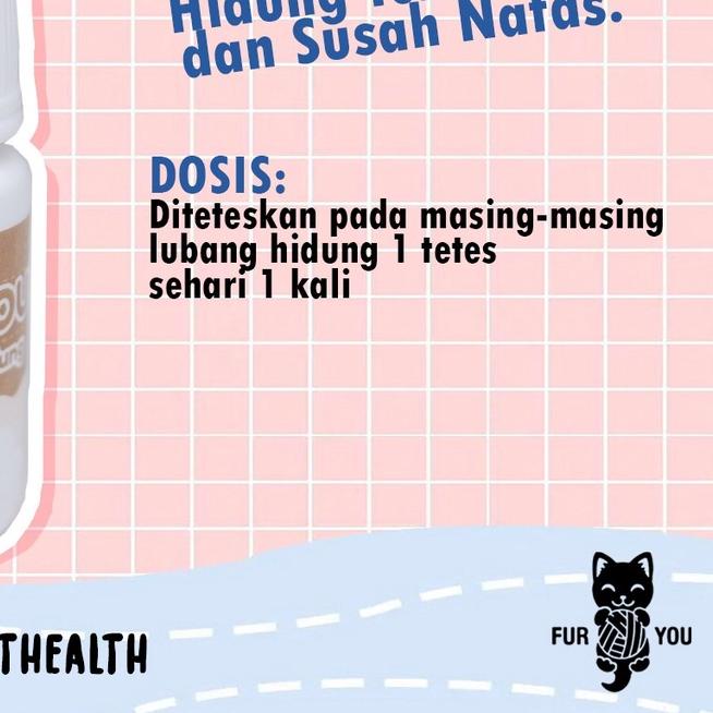 tetes hidung sesak nafas kucing nafas bunyi susah nafas