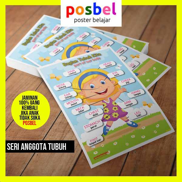 Jual Poster Belajar Anak POSBEL Seri ANGGOTA TUBUH Untuk Edukasi PAUD ...