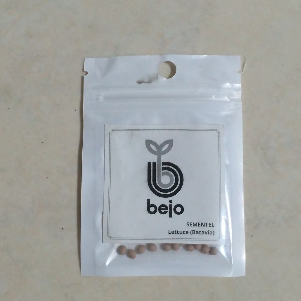 100 pills SEMENTEL - Benih Lettuce Batavia - Bejo Seed