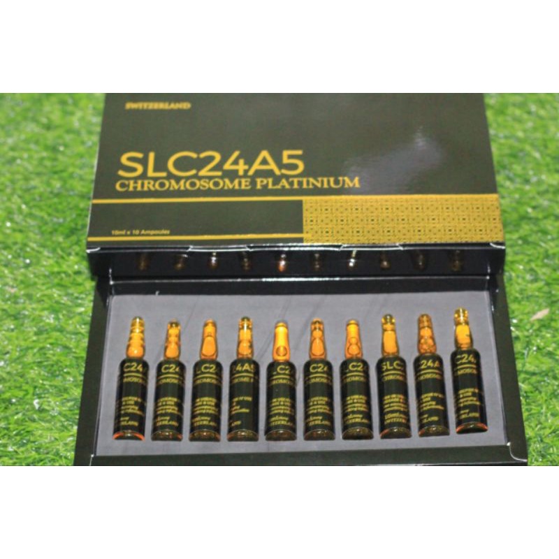 SLC PLATINUM chromosome SLC24a5 platinum original