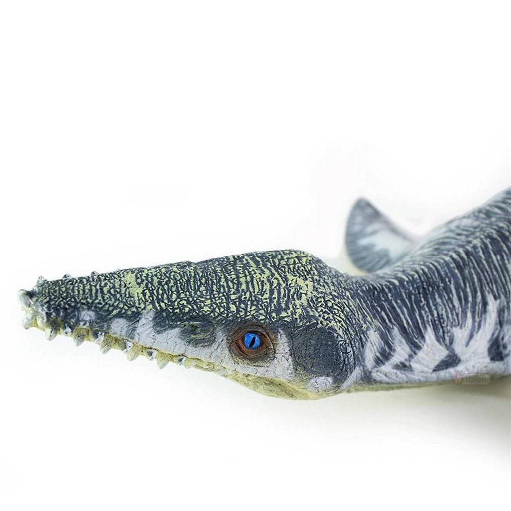 Liopleurodon Figure Dinosaurus Model Simulasi Dino