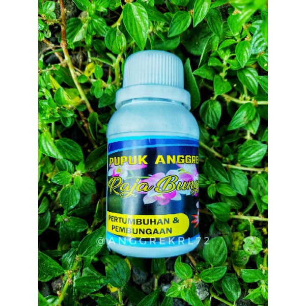 Pupuk anggrek Raja Bunga untuk pertumbuhan dan pembungaan /100 ml
