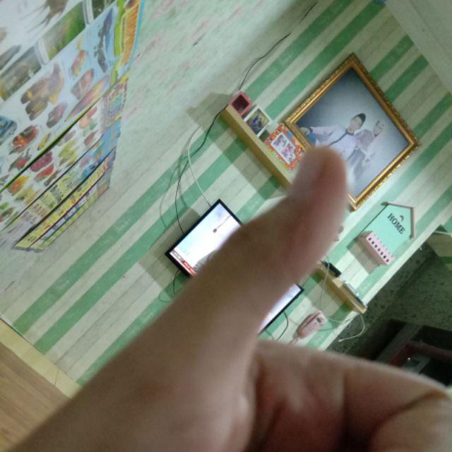 Tanaman Hias Syngonium Rayi