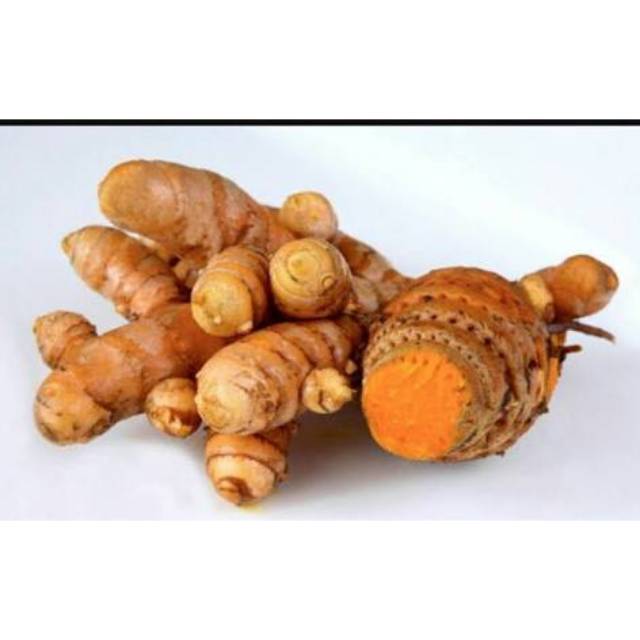 

1kg Rimpang temulawak segar obat herbal untuk kanker, penambah nafsu makan dan lain lain