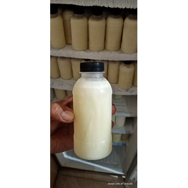 

susu kambing murni