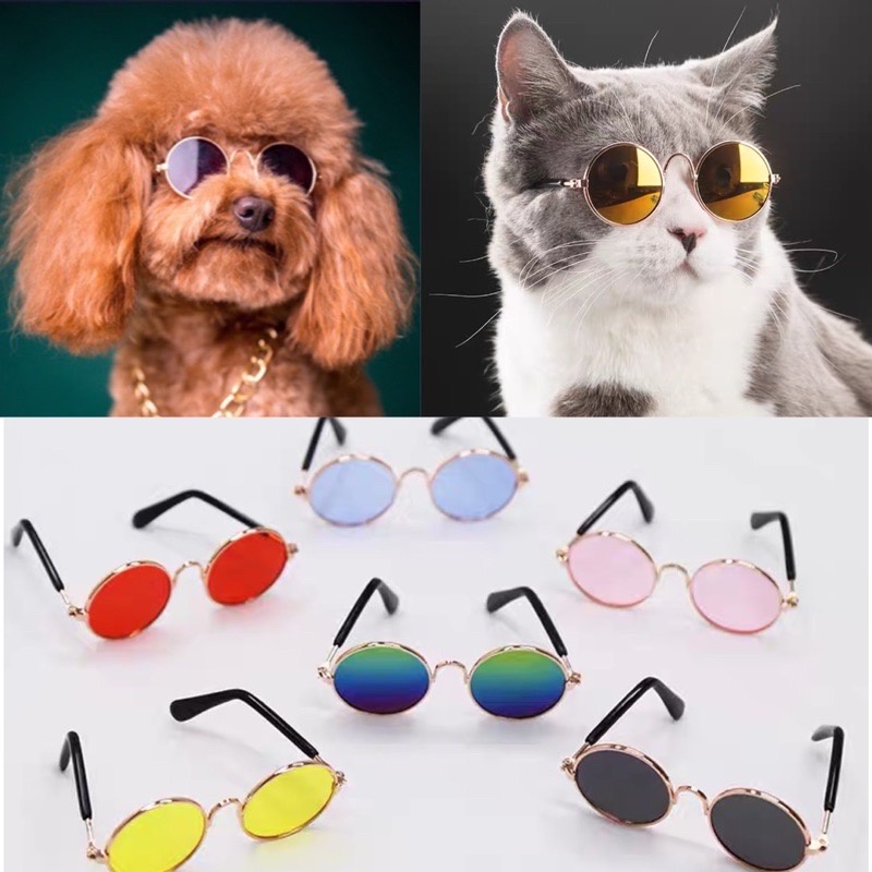 KACAMATA KUCING ANJING - Kacamata Gaya Keren Aksesoris Hewan Foto Fashion Kucing Anjing Pet Sunglasses