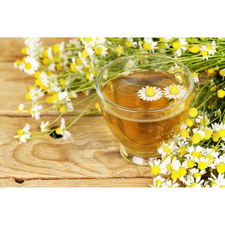 Teh Chamomile / Chamomile Tea / Teh Herbal Alami | Shopee ...