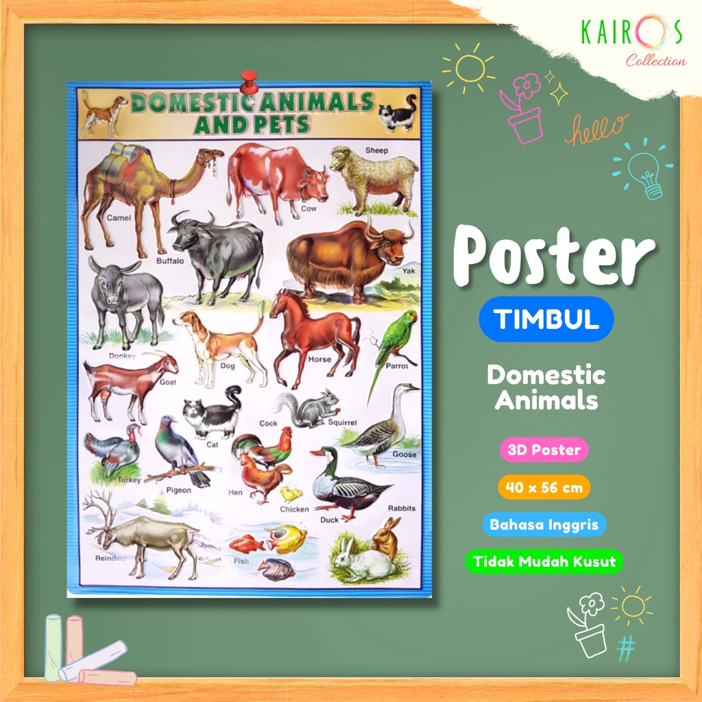 Poster Timbul Domestic Animals