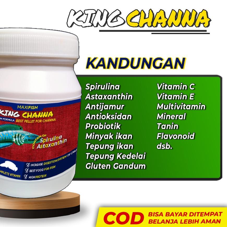 ⚡erbu Kejutan Pelet Pakan Channa KINGCHANNA Ikan Channa Maru Auranti Blue Pulchra Andrao Asiatica Ba