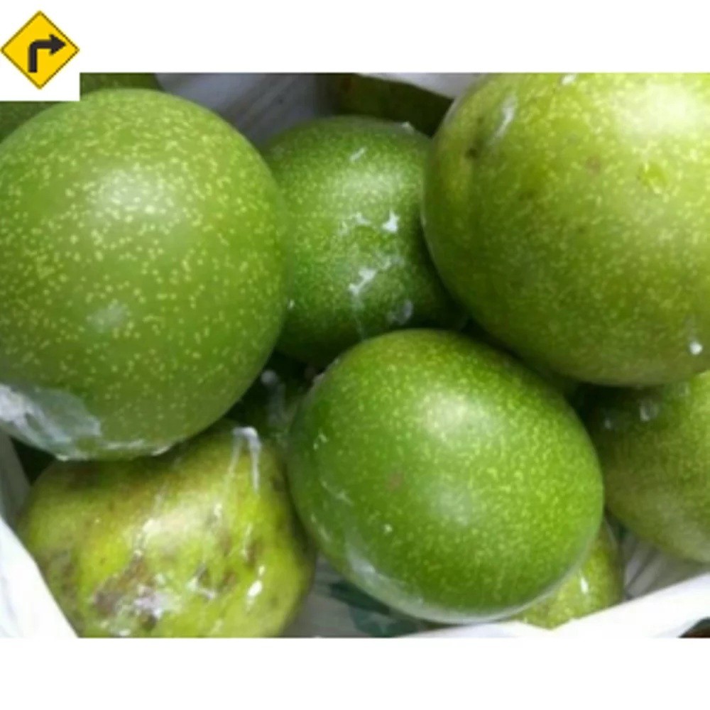 Wow 29 Gambar Buah Bintaro Gani Gambar Wow 29 Gambar Buah Bintaro Gani Gambar