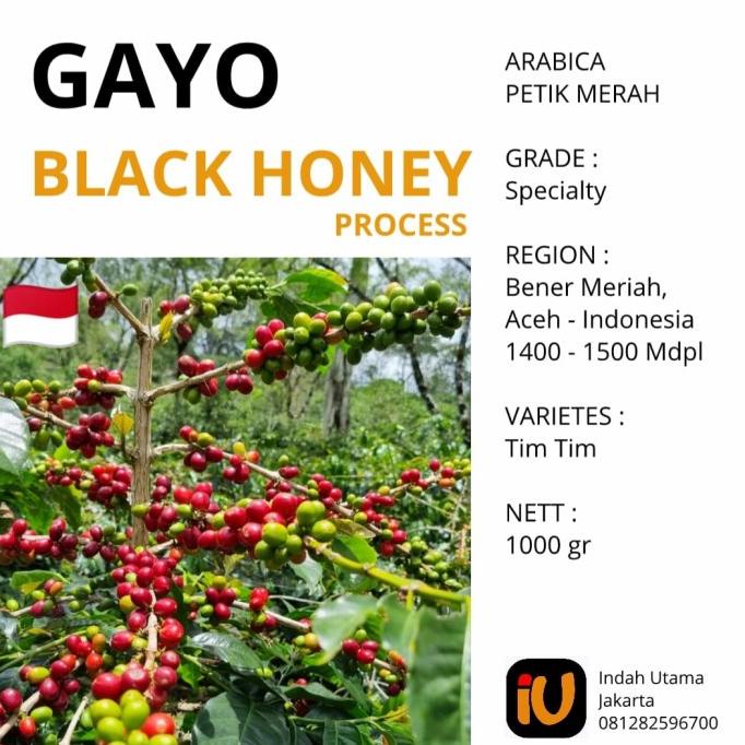 

Biji Kopi Mentah Arabika Gayo Black Honey 1 Kg -Diskon Besar