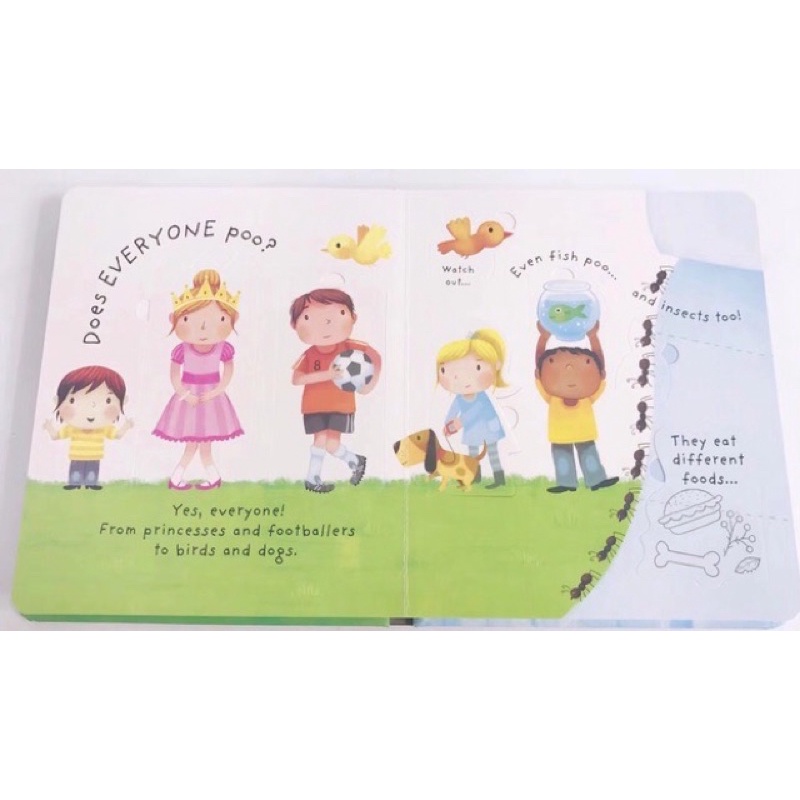 Usborne lift the flap what is poo - buku import anak