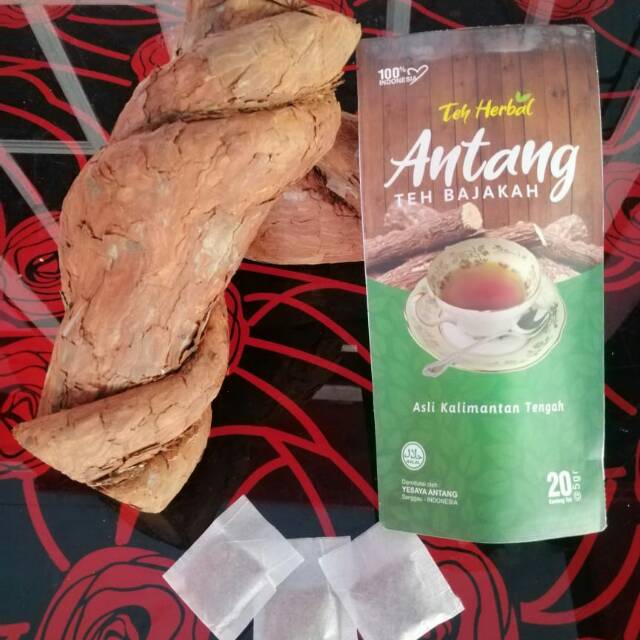 

Teh herbal bajakah